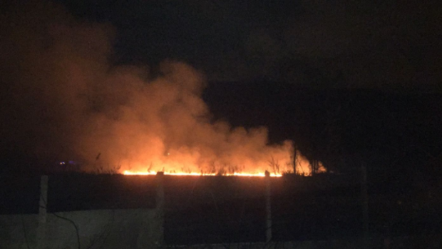 Un incendio activo cuatro horas afecta al parque natural de la Albufera