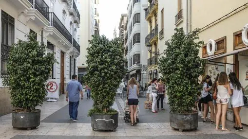 Maceteros colocados en la calle Navellos de Valencia