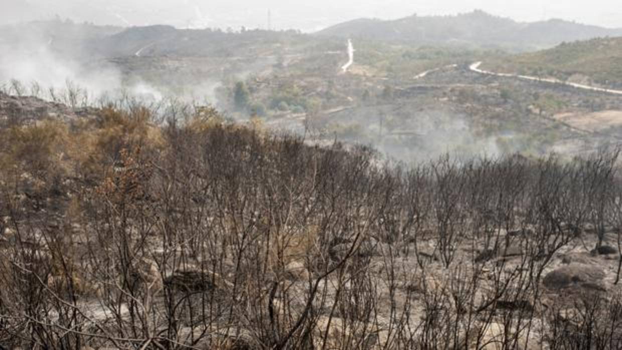 Superficie quemada durante los incendios en Orense