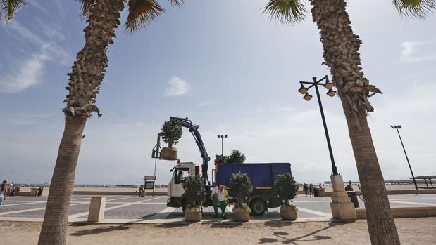 El paseo marítimo de València empieza a protegerse con diez grandes maceteros