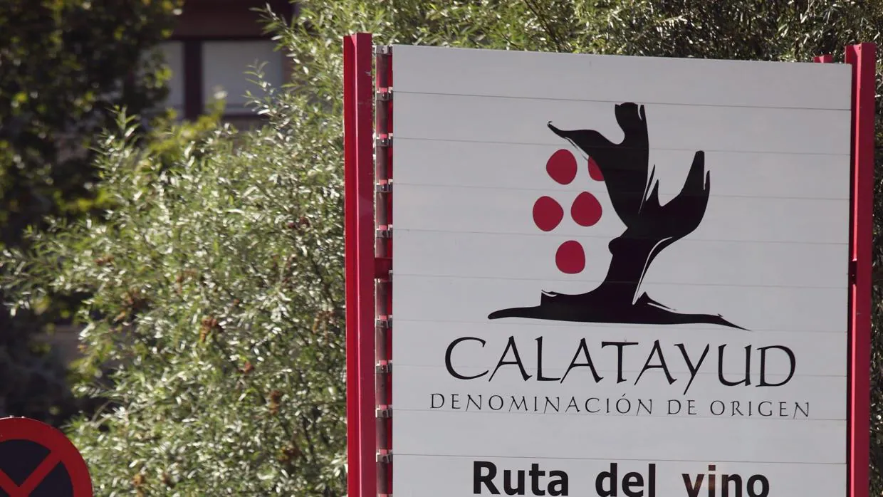 La D.O. Calatayud abarca 3.200 hectáreas de viñedo, más de 800 viticultores y 16 bodegas