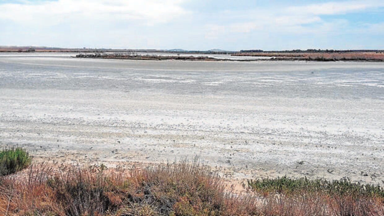 La sequía ha hecho desaparecer buena parte del agua de las lagunas
