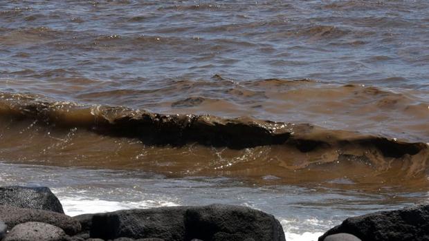 ¿Las microalgas de las playas de Tenerife producen cáncer de hígado?