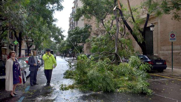 La lluvia hace caer un árbol y causa incidencias en varios cruces de Valencia