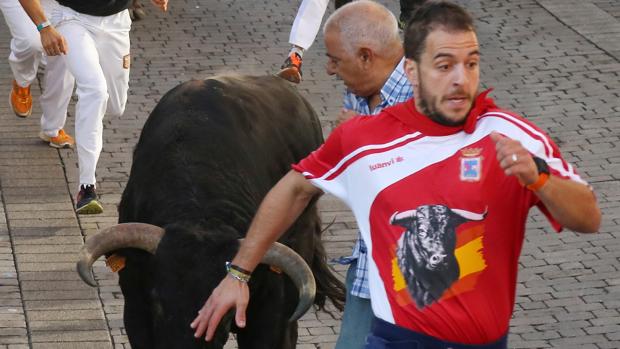 El tercer encierro de las fiestas de Cuéllar (Segovia) fue rápido y limpio