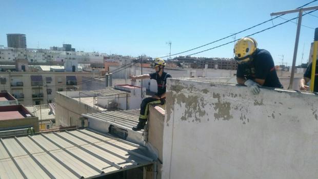 Los bomberos realizan una veintena de intervenciones por las fuertes rachas de viento en Alicante