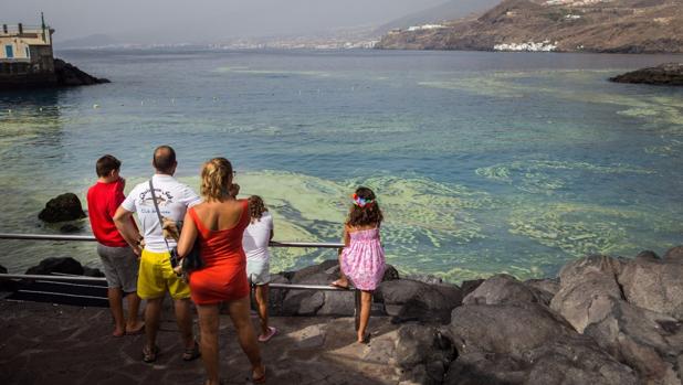 Las repugnantes microalgas canarias, entusiastas del cambio climático