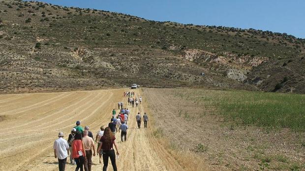 La Junta declara Monumento Natural al estratotipo de Fuentelsaz
