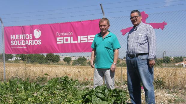 Los huertos solidarios de Soliss produjeron dos toneladas de alimentos frescos