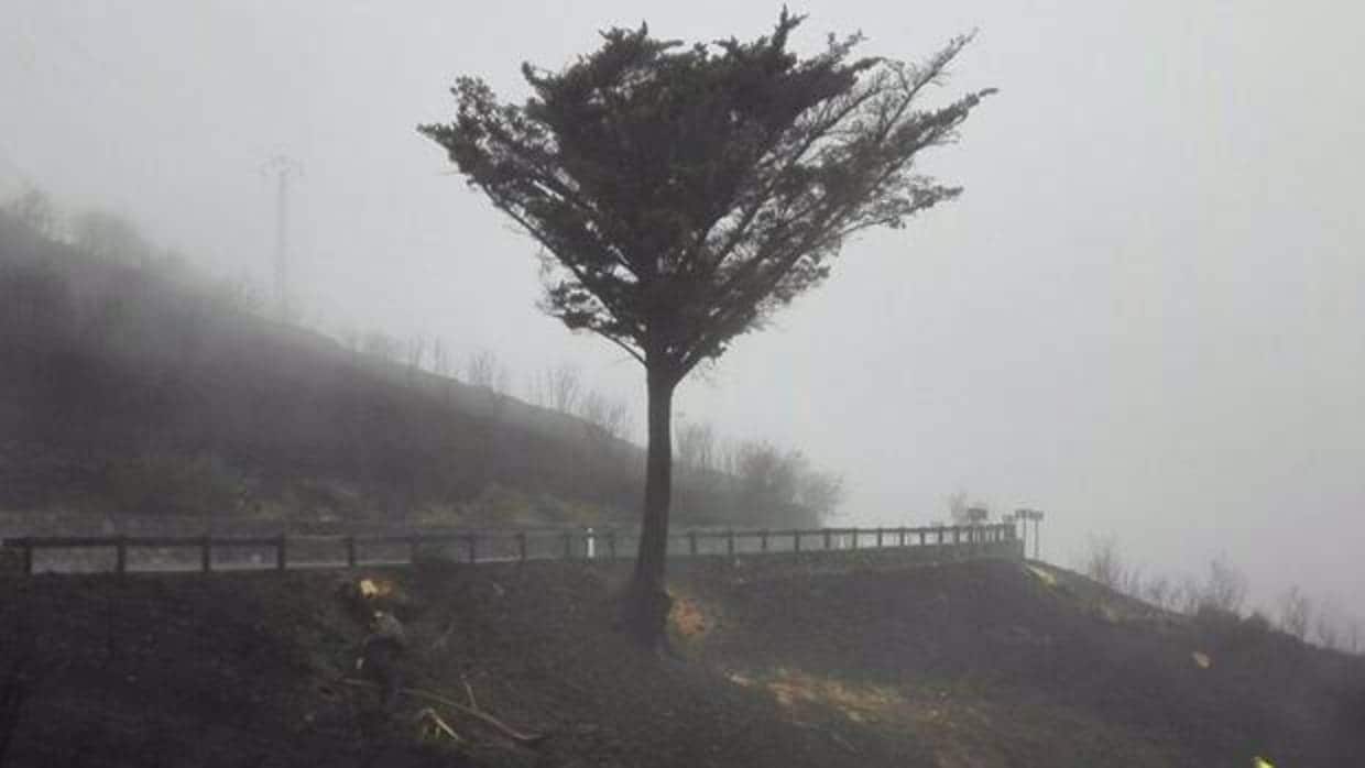 Dolor por el incendio forestal de Gran Canaria