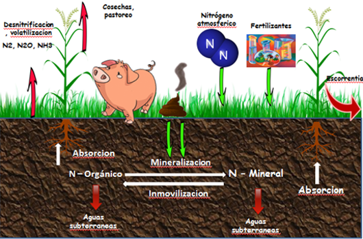 Buenas prácticas agrarias para combatir la contaminación difusa