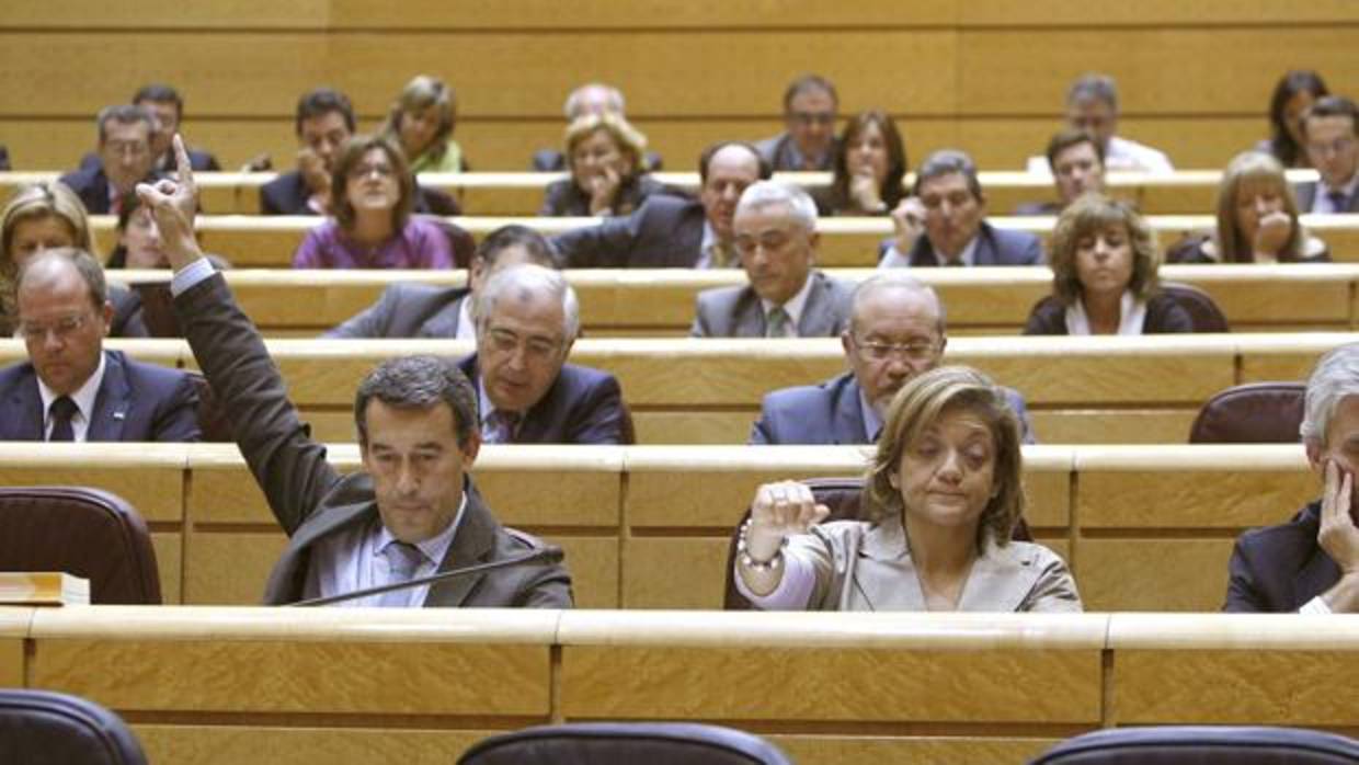 Los senadores del PP durante una votación