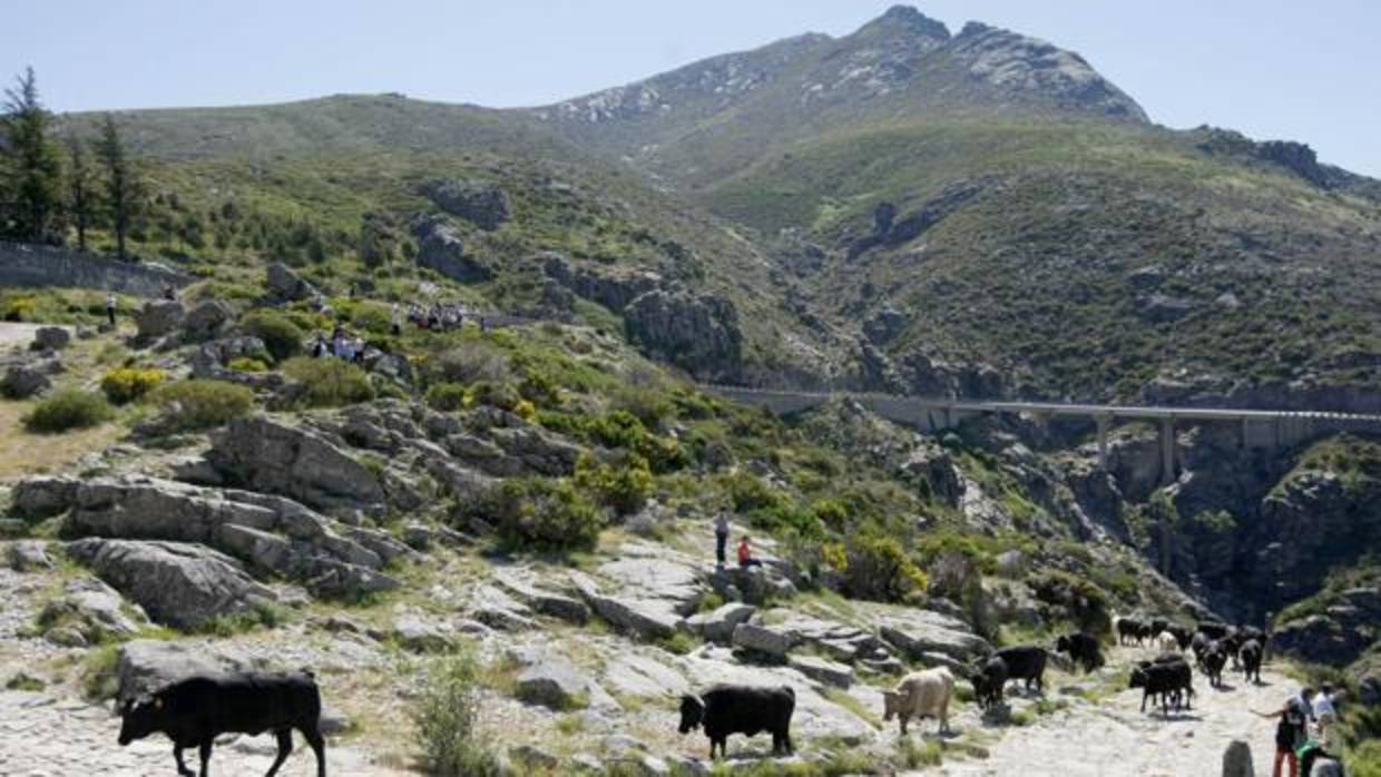 Puerto del Pico, en Ávila, registró la segunda temperatura más baja de España