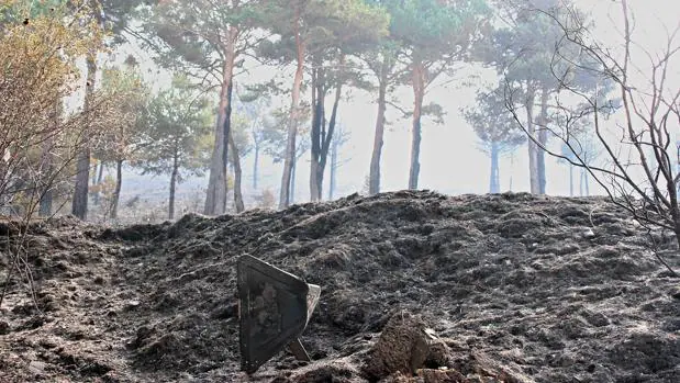 Imagen de archivo de los restos del incendio de Encinedo (León)