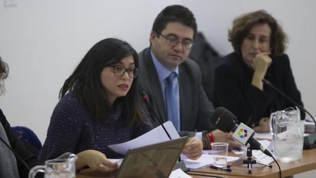 Rommy Arce: una edil defensora de delincuentes y alérgica a la Hispanidad