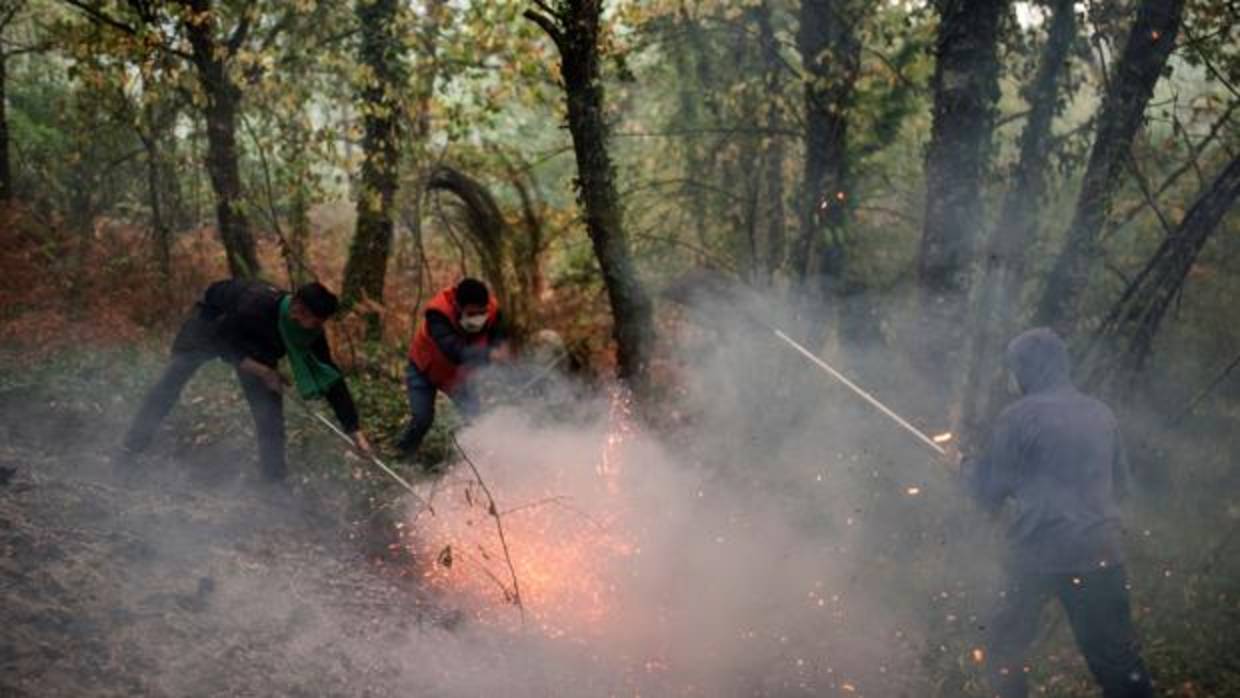 Hasta 27 incendios se mantienen activos