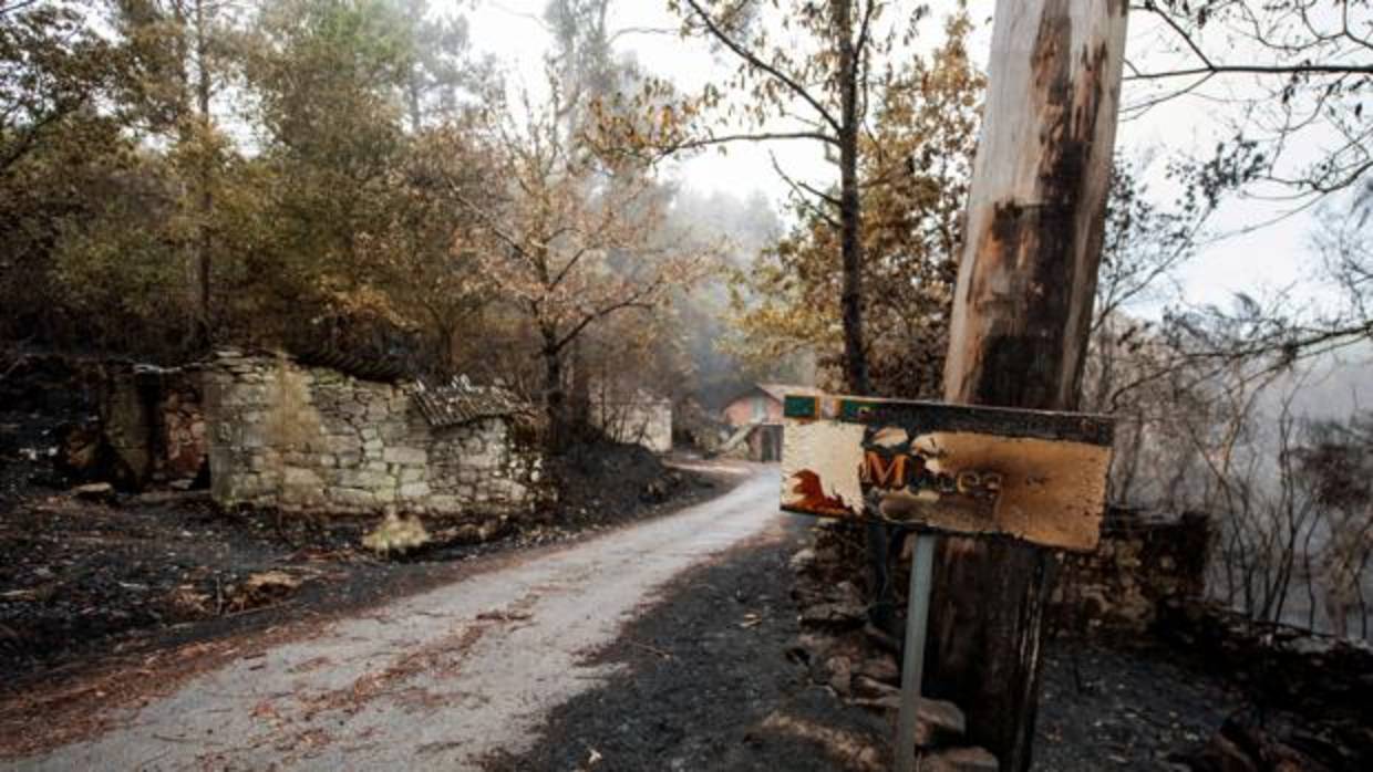 El detenido como presunto autor del icendio forestal en una finca forestal de Os Blancos (Orense)