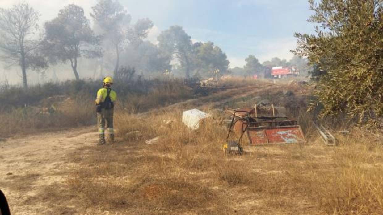 Imagen de la zona calcinada en el monte de Andilla