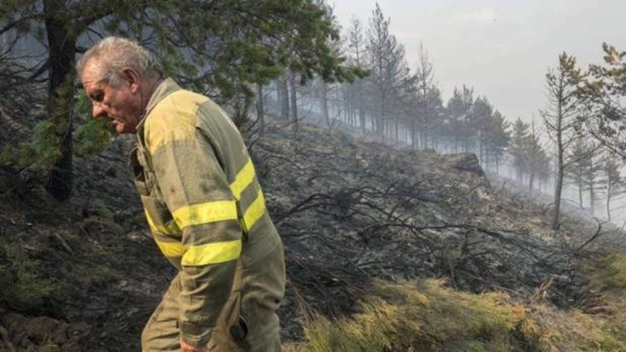 Un brigadista trabaja en la extinción de un fuego en Vilarello