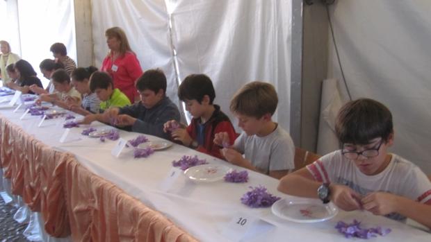 Consuegra celebra la LV Fiesta de la Rosa del Azafrán