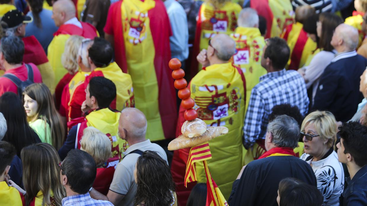 Manifestación de este domingo en Barcelona