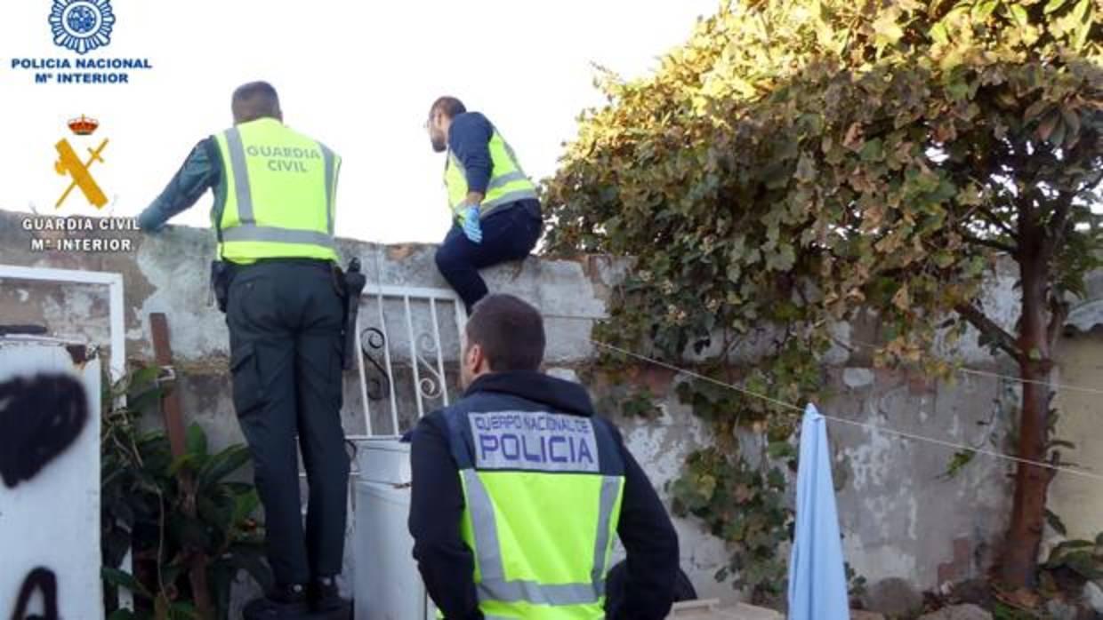 Los agentes, durante la inspección del patio de una de las viviendas registradas