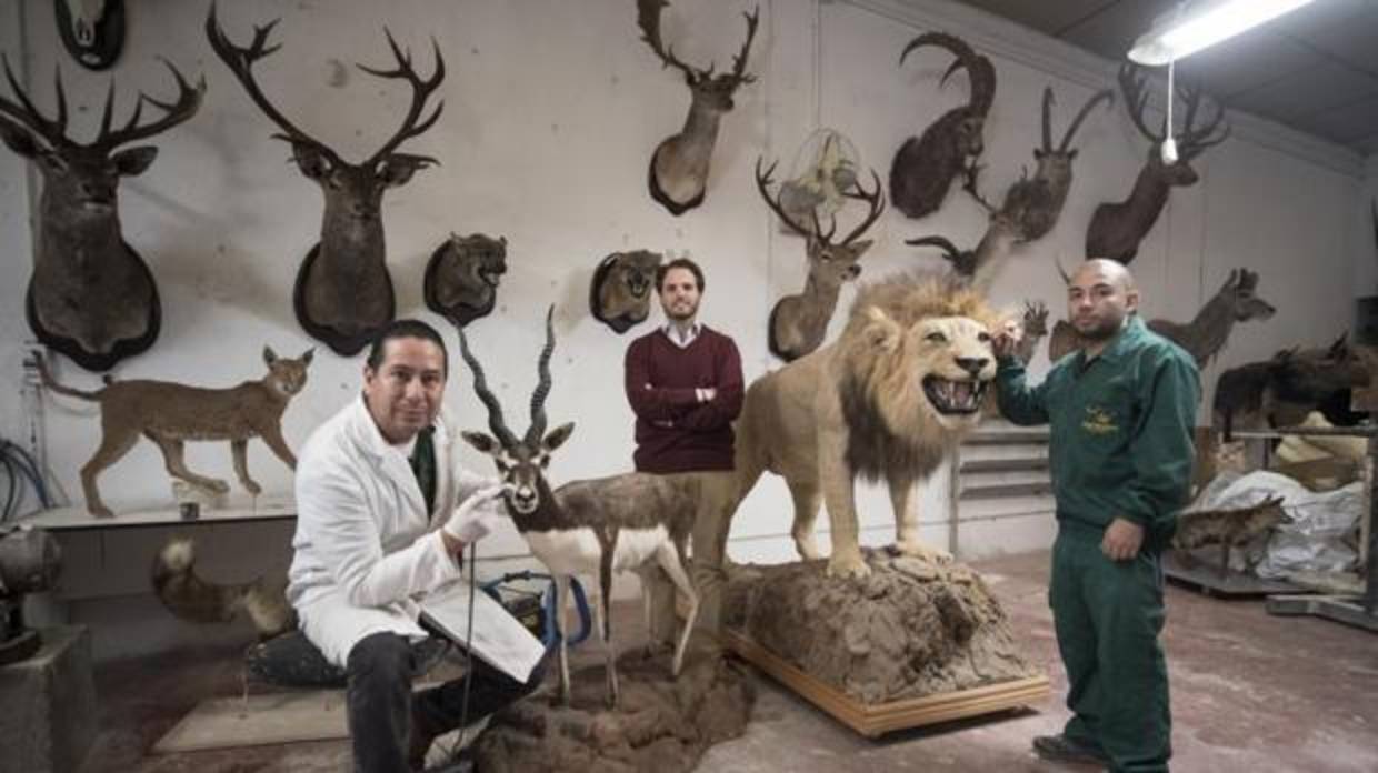 Diego Cabello de los Cobos, en el centro, con parte del equipo de la empresa de taxidermia Taxtrophy