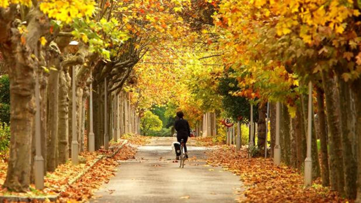 Las temperaturas máximas en octubre, 5,5 grados por encima de la media