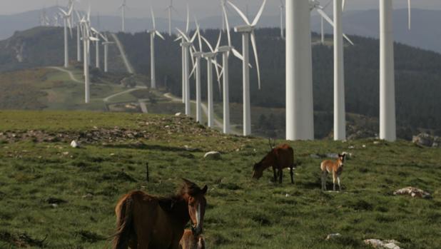 El sector eólico empieza a activarse en Galicia tras diez años de parálisis