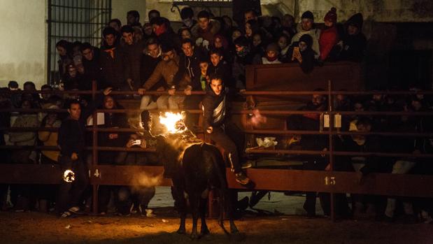 Cerca de 3.000 personas cumplen con el Toro Jubilo de Medinaceli