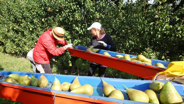 El Bierzo contará con el primer Parque Alimentario Rural de Castilla y León