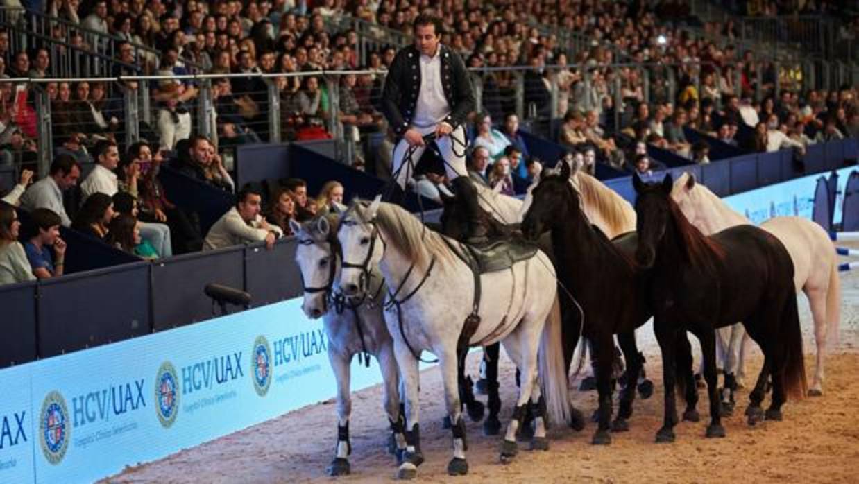 Espectáculo hípico en Madrid Horse Week