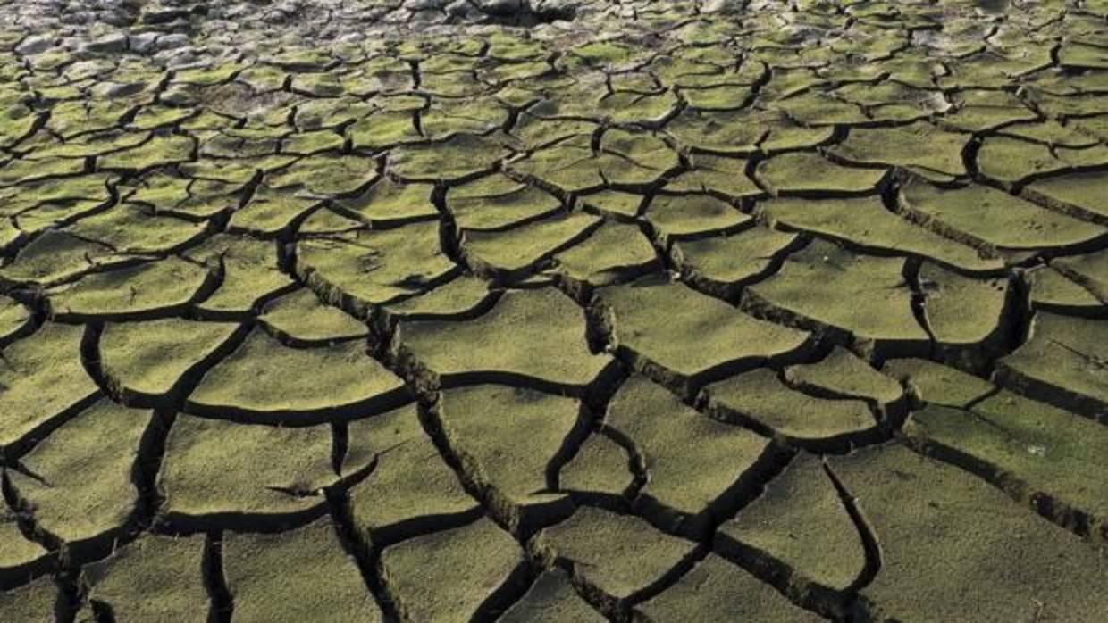 Tierra resquebrajada por la sequía