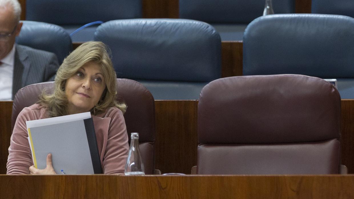 Engracia Hidalgo, en un pleno de la Asamblea de Madrid