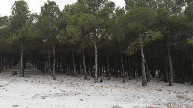 El frío llega a la Comunidad Valenciana con un desplome de temperturas mínimas y fuerte viento