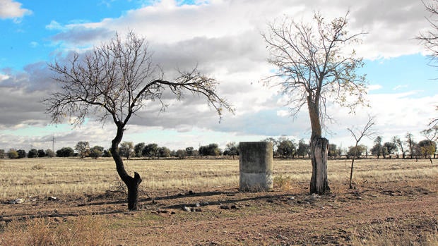 La mafia, tras un «pelotazo» de 50 millones de euros en Seseña