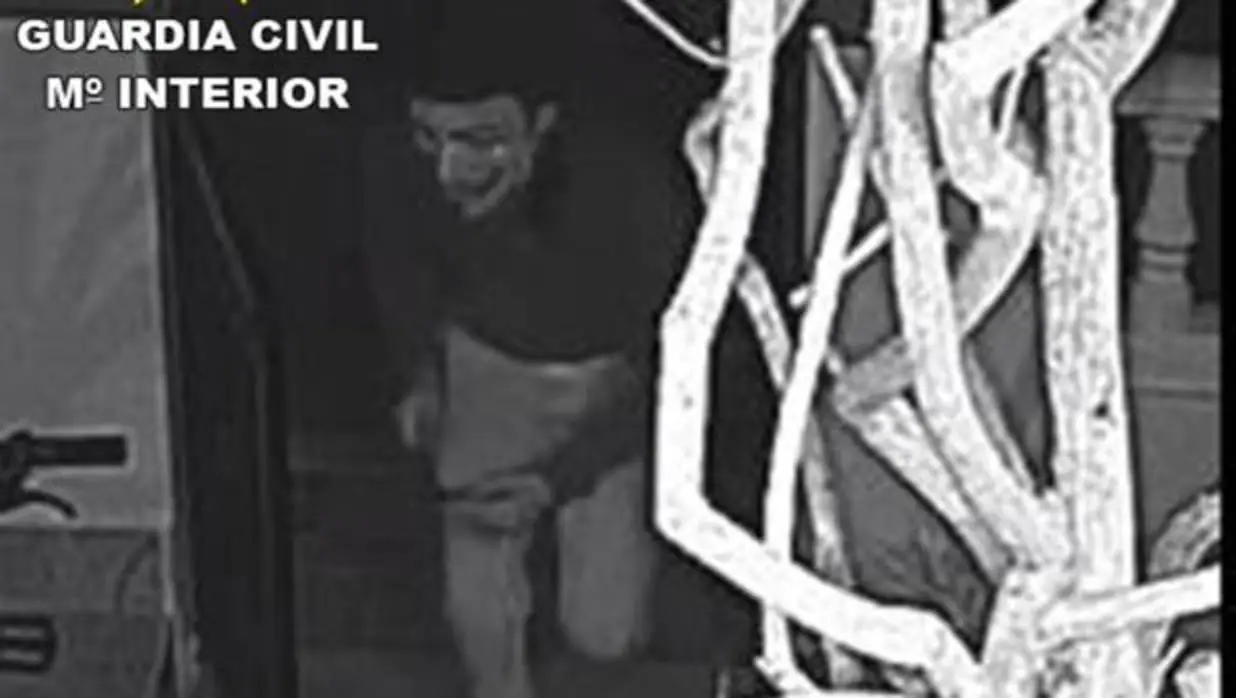 Uno de los ladrones con máscara captado por una cámara de seguridad en la noche de Halloween