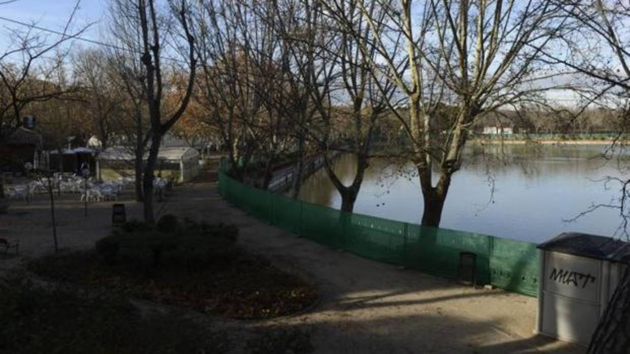 La malla verde que recubre el lago de la Casa de Campo