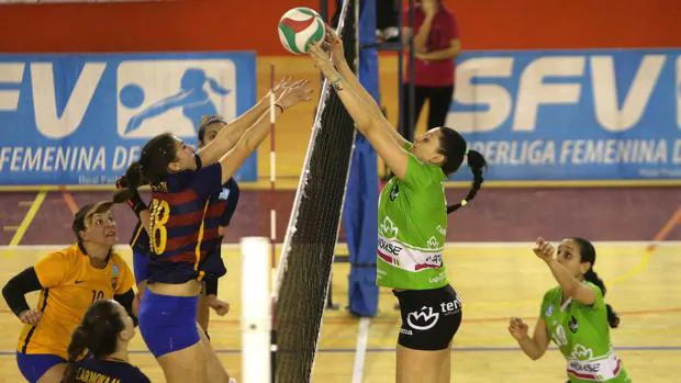 Guadalajara acogerá a 2.600 deportistas entre el 27 y el 30 de diciembre en la Copa de España de Voleibol
