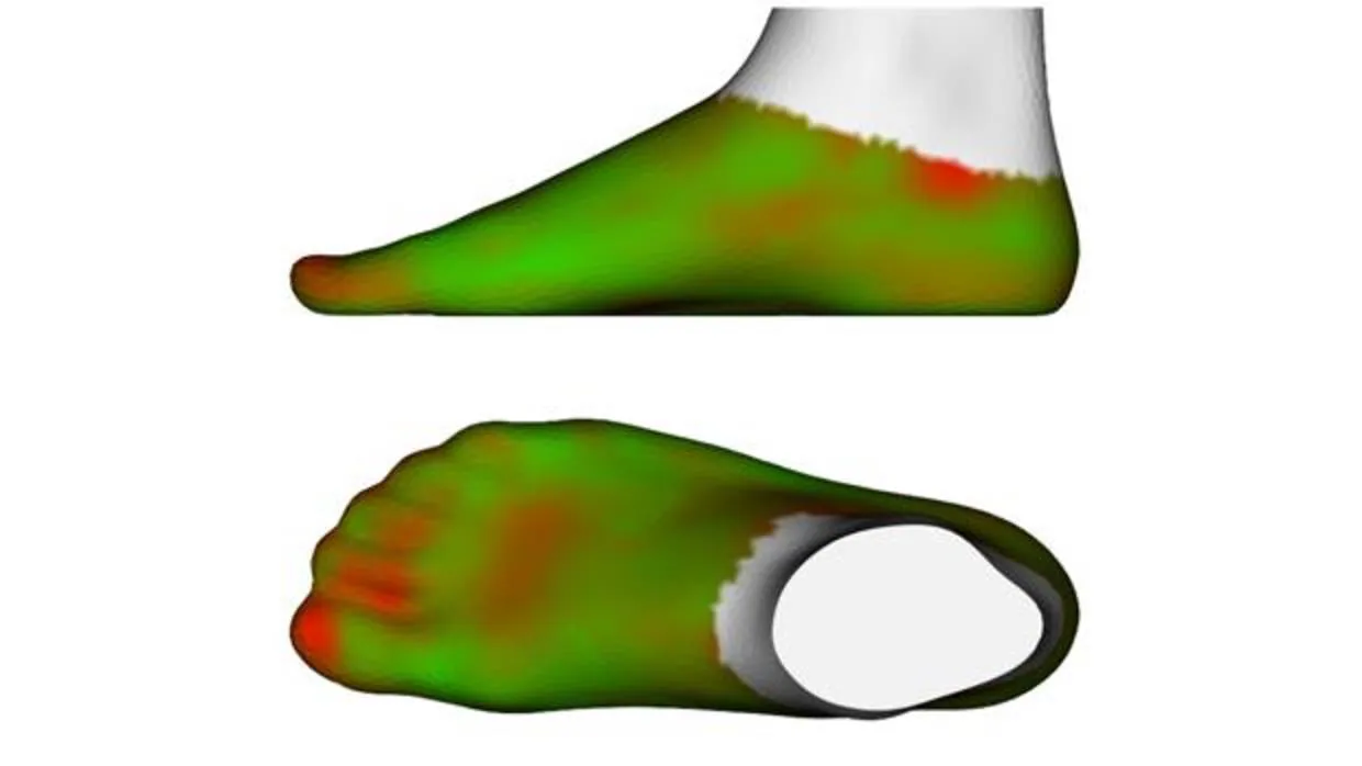 Mapa de predicción del ajuste del pie calzado
