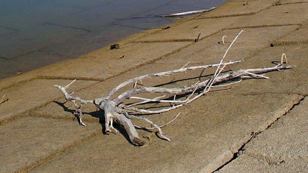 Los embalses de la cuenca del Ebro acaban el año en situación crítica