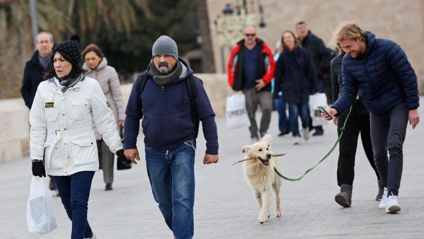 Valencia cierra al público todos los parques y jardines de la ciudad por la alerta por viento