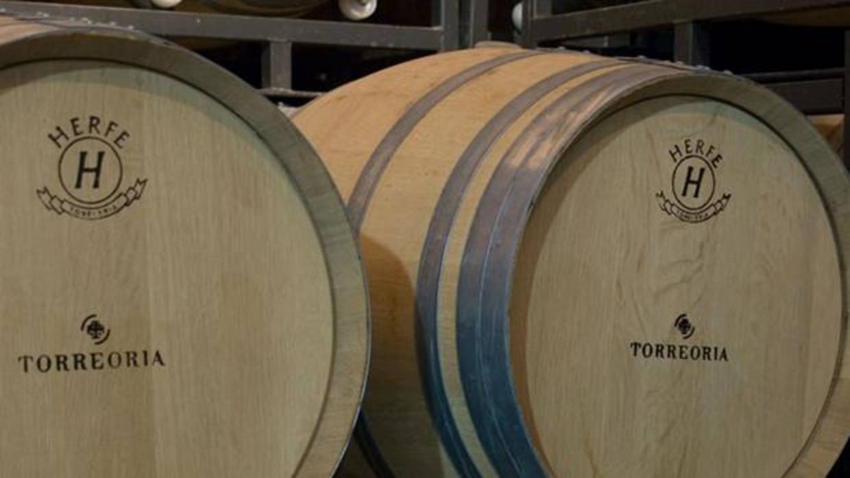 Imagen de las bodegas de Torre Oria