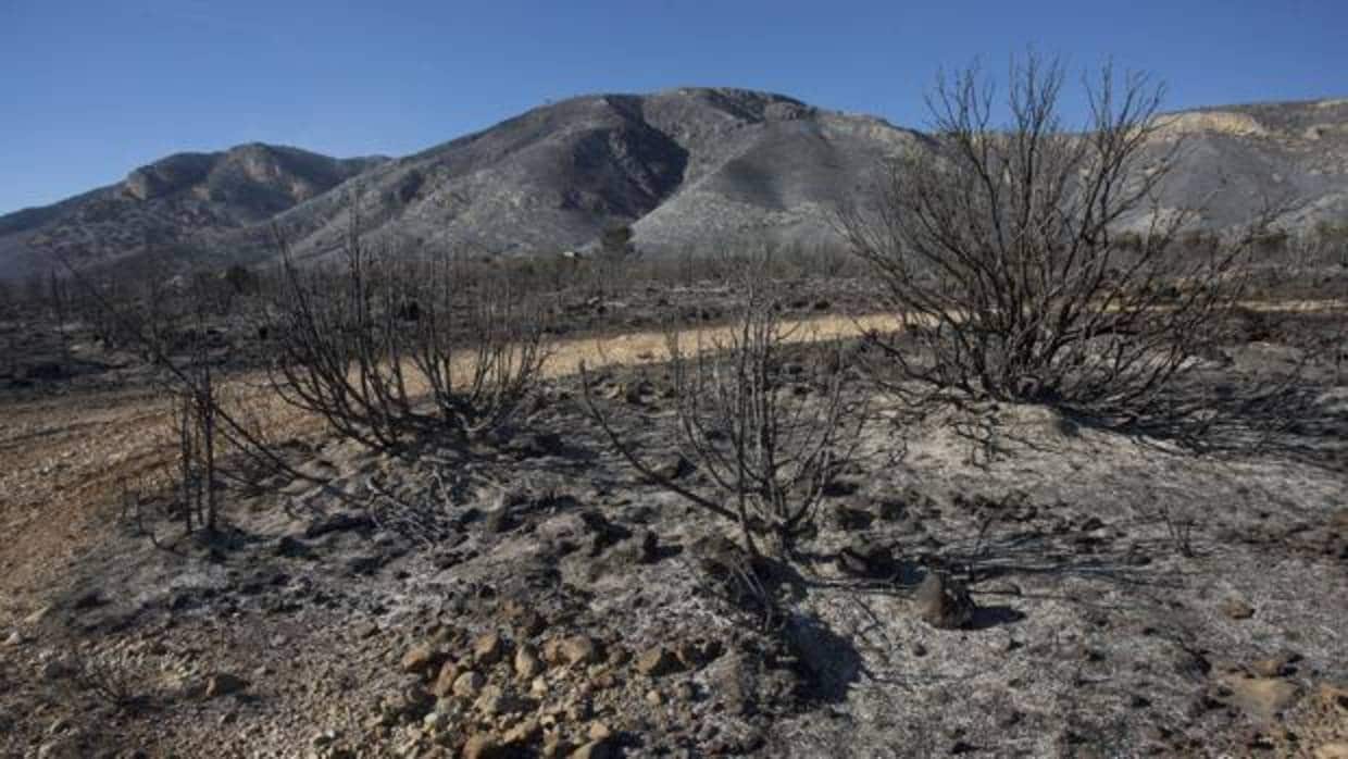 Imagen de la sierra tras el incendio en Culla
