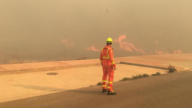 Un incendio forestal en el Marjal de Sagunto afecta a una zona de protección de aves