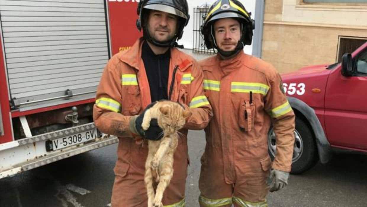 Dos bomberos voluntarios de Sinarcas con el gato rescatado