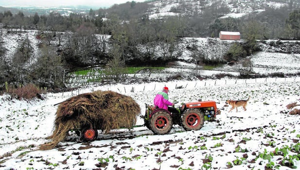 La asignatura pendiente del rural