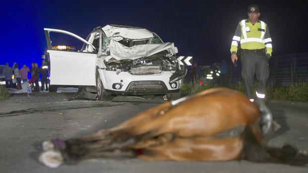 Herida una conductora tras atropellar a un caballo en Catoira