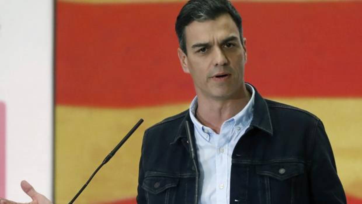 Pedro Sánchez, líder del PSOE