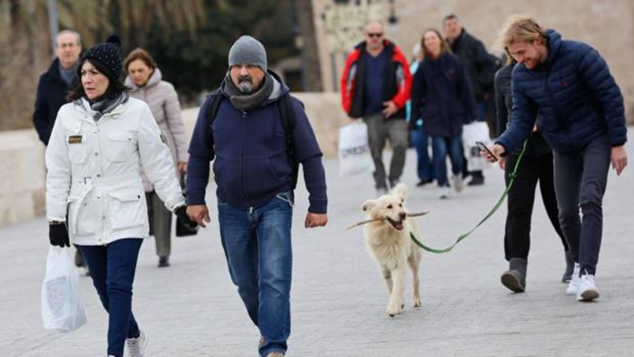 Temporal de viento en Valencia